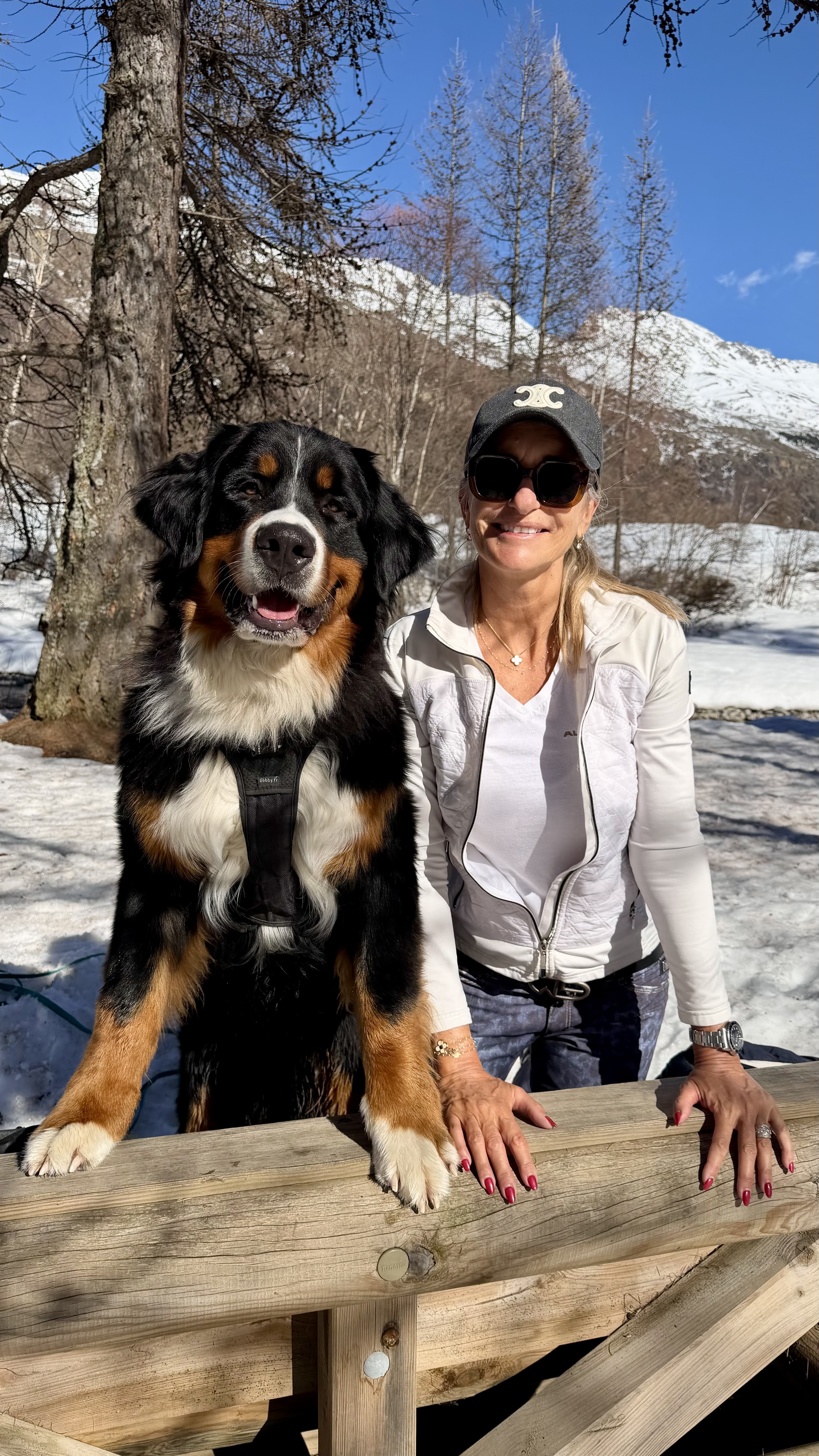 Alexandra et Voltaire, bouvier bernois, dans les montagnes de Serre Chevalier